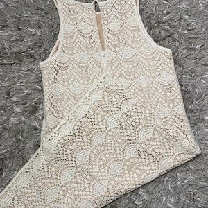 Loft Lace Dress